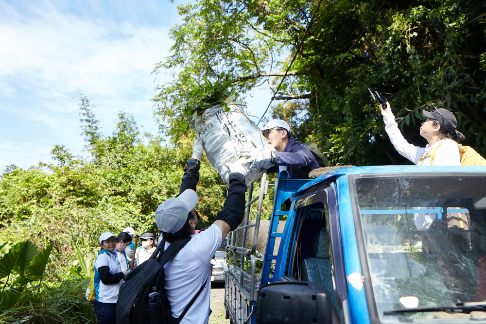 友達串聯志工組成水環境巡守隊，針對霄裡溪沿岸3公里的小花蔓澤蘭，定期進行移除與防治工作